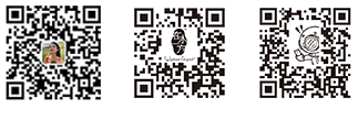 移動(dòng)端二維碼